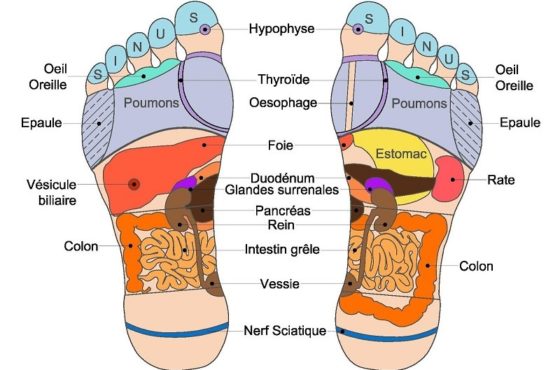 carte rélflexologie plantaire atypicoache